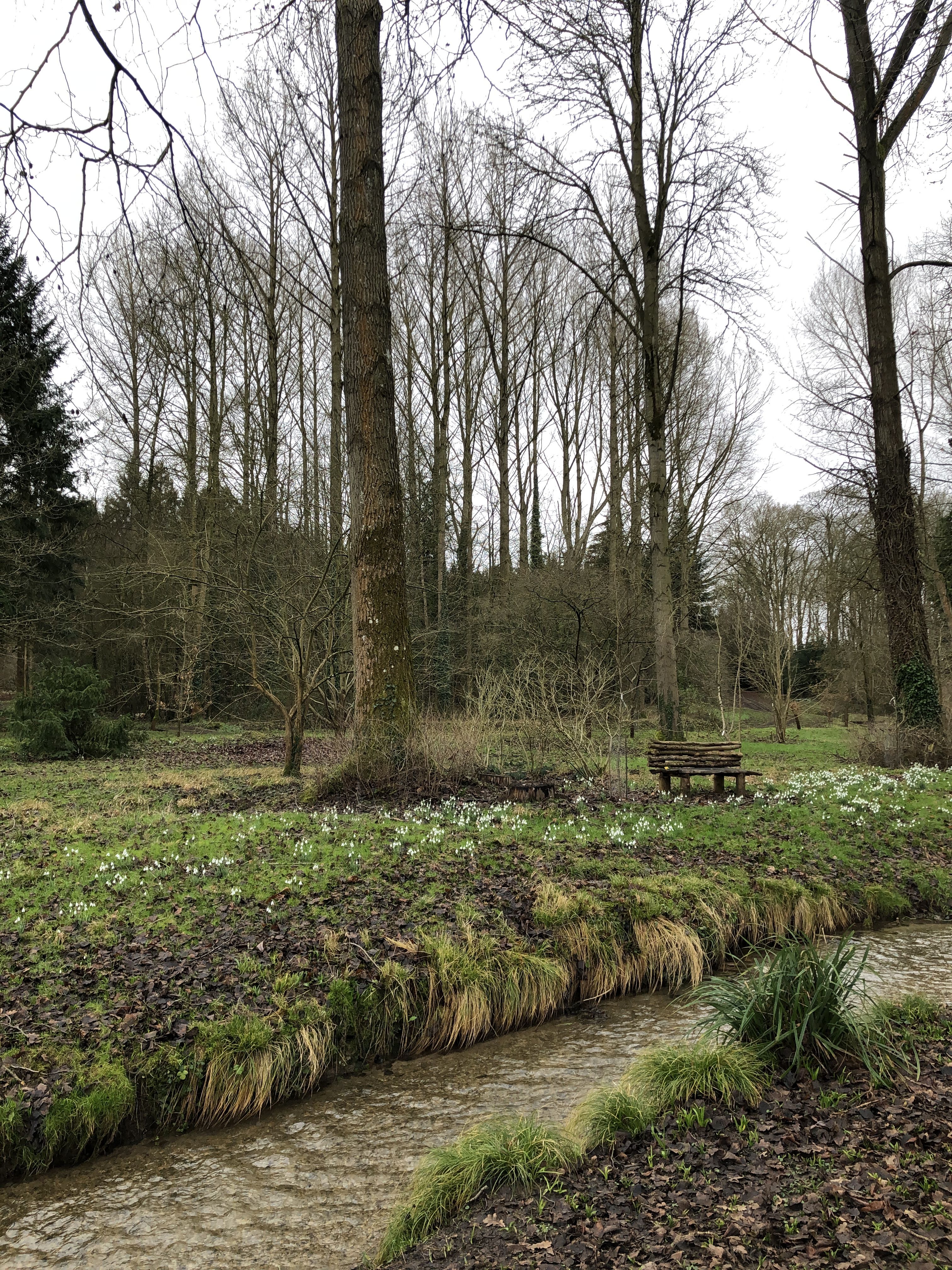 Photo of a winter stream