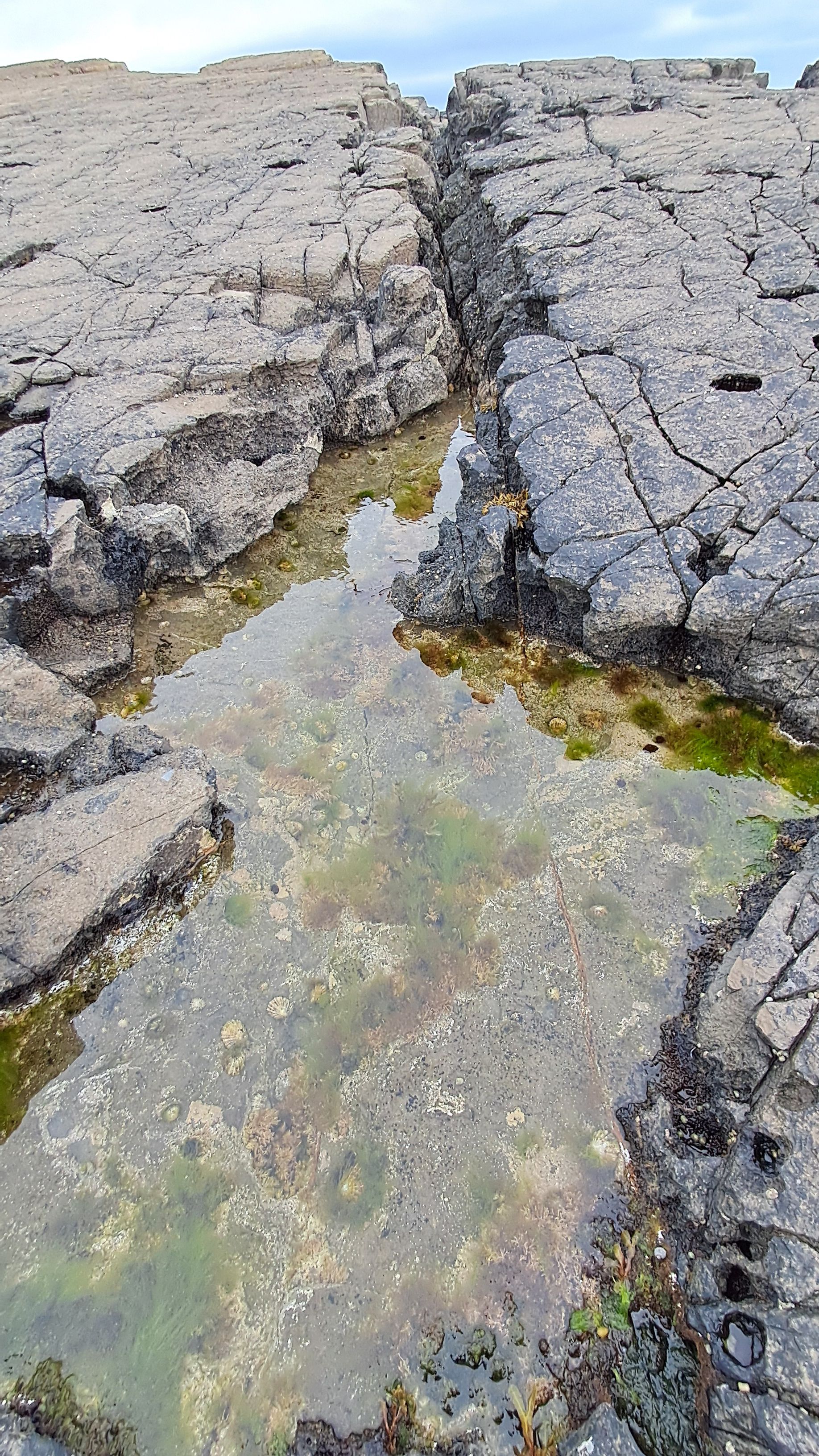 Photo of a dolerite rock formation