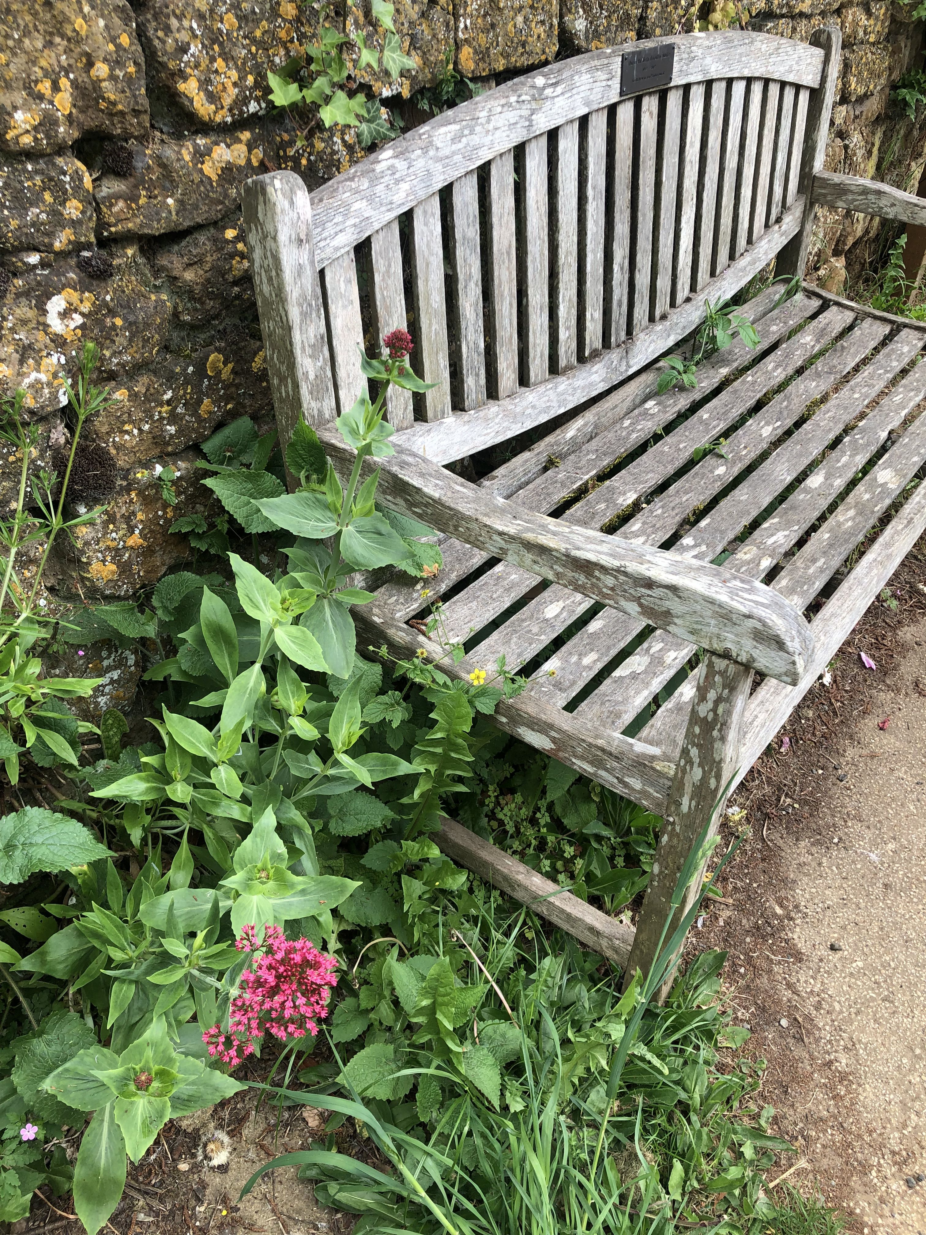 Photo of a restful park bench