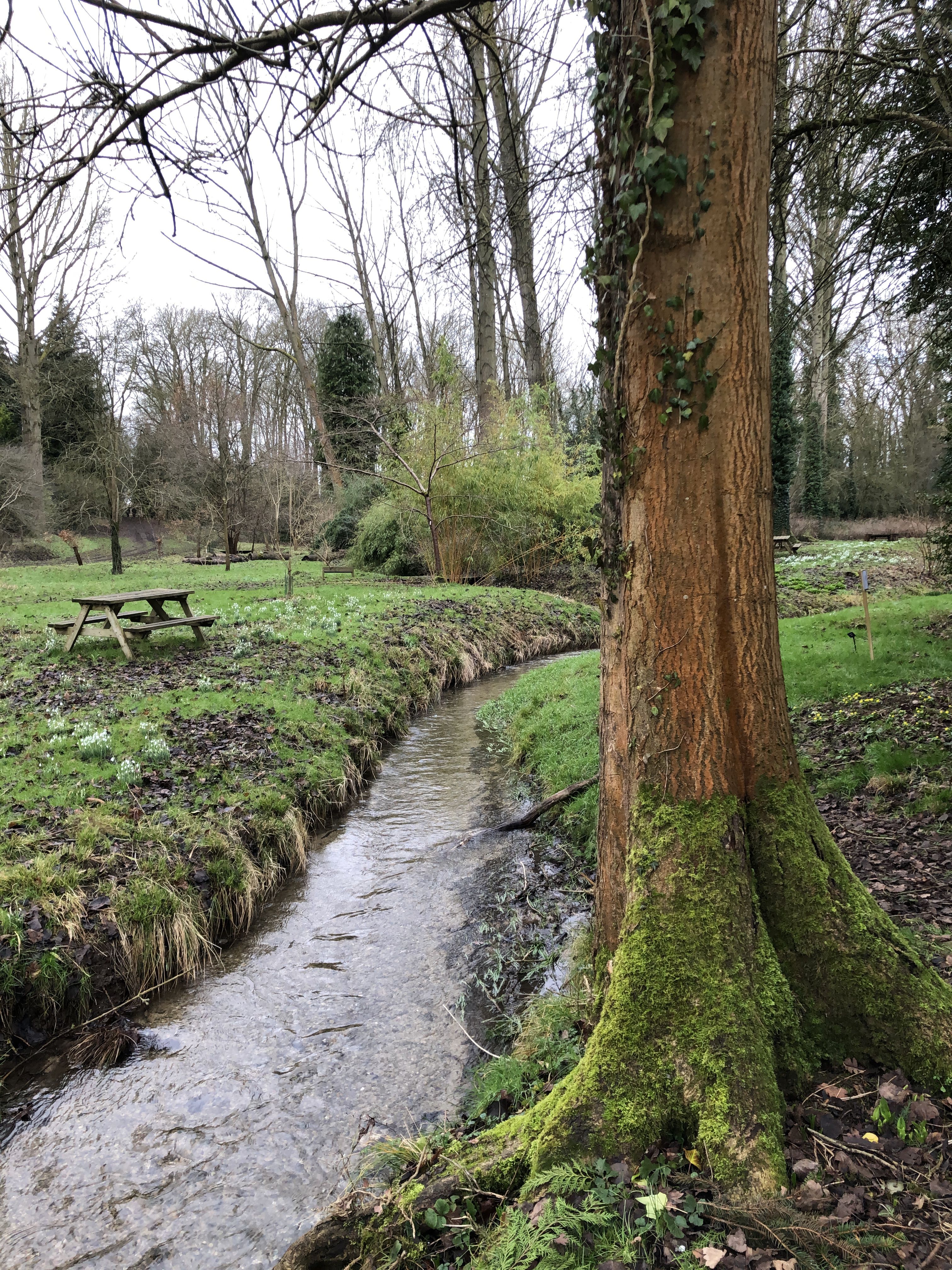 Photo of a stream running through a winter park