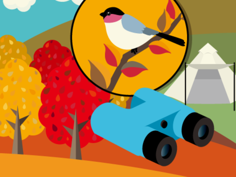 Illustration of an outdoor scene with binoculars and a close up of a bird