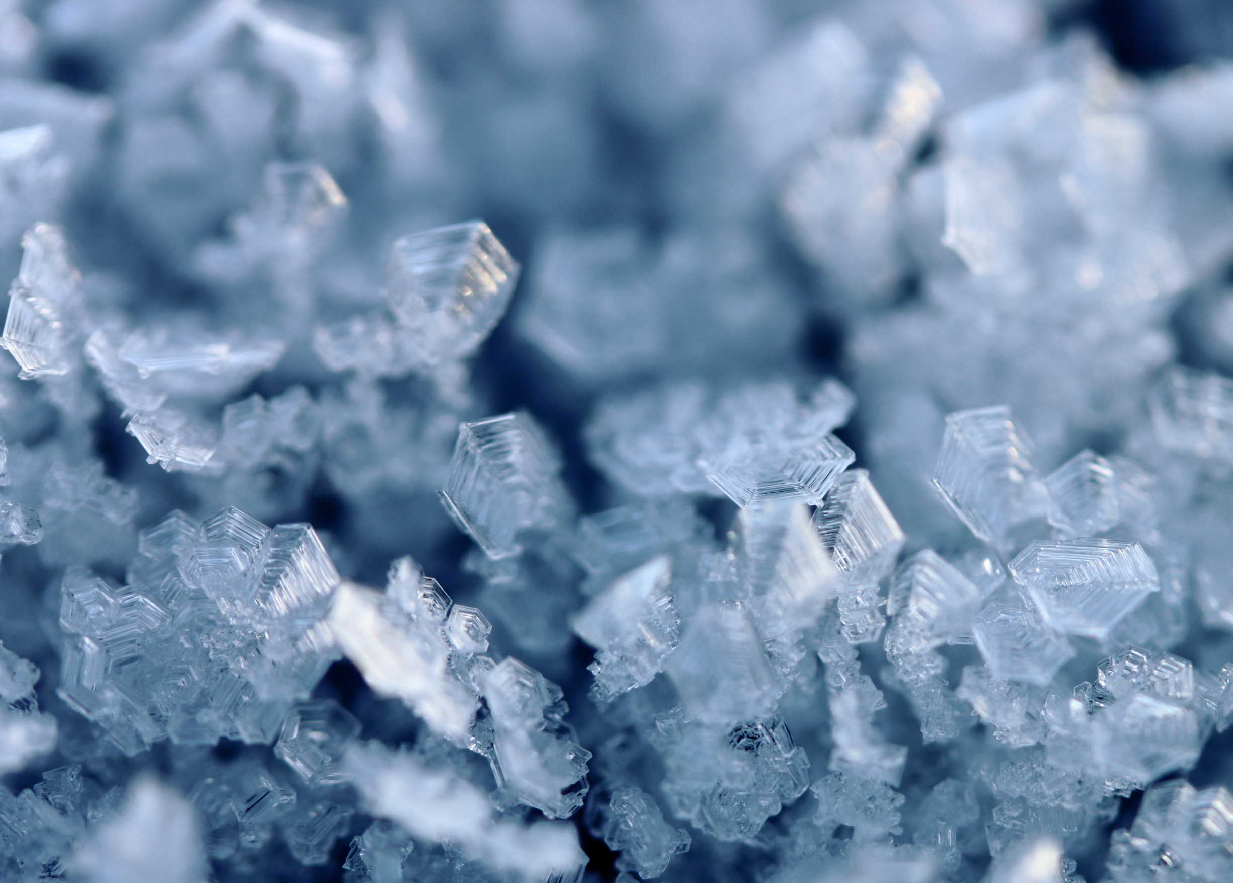 Close up photo of ice crystals