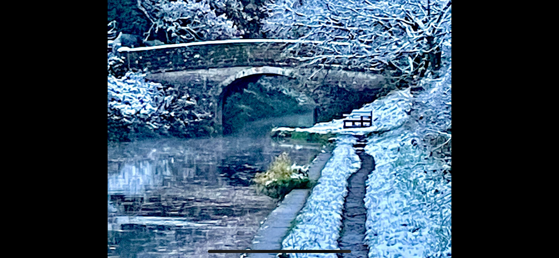 Photo of a winter canal scene