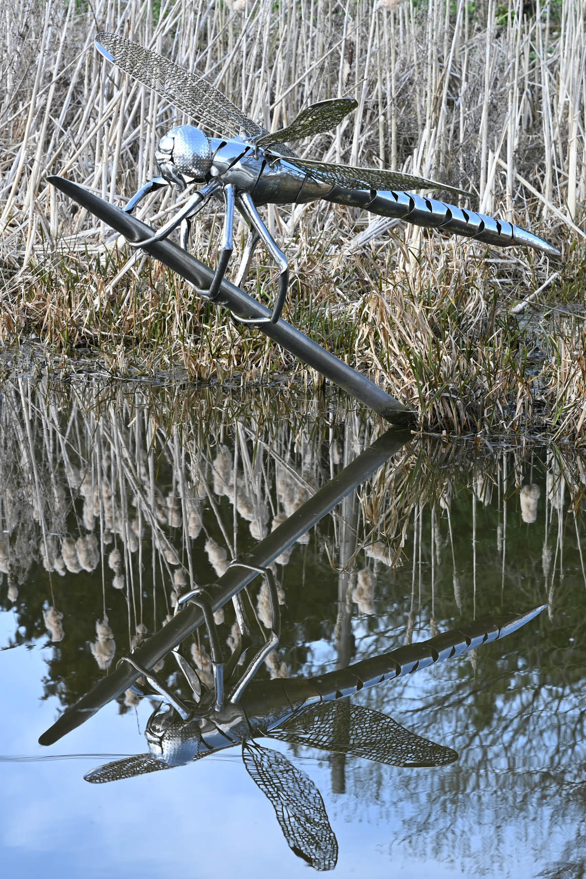 Photo of a metal dragonfly sculpture reflected in water