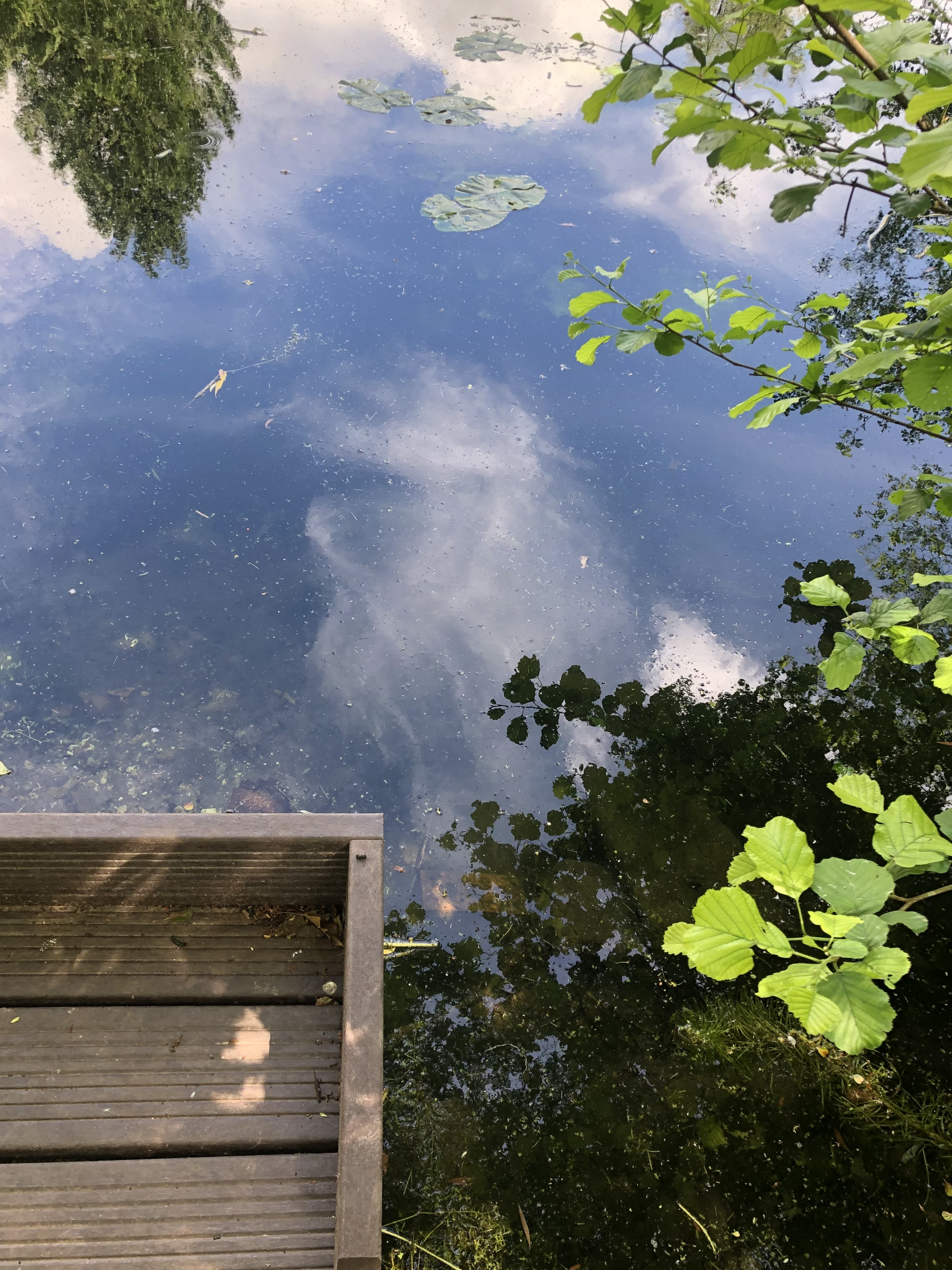 Photo of a still lake