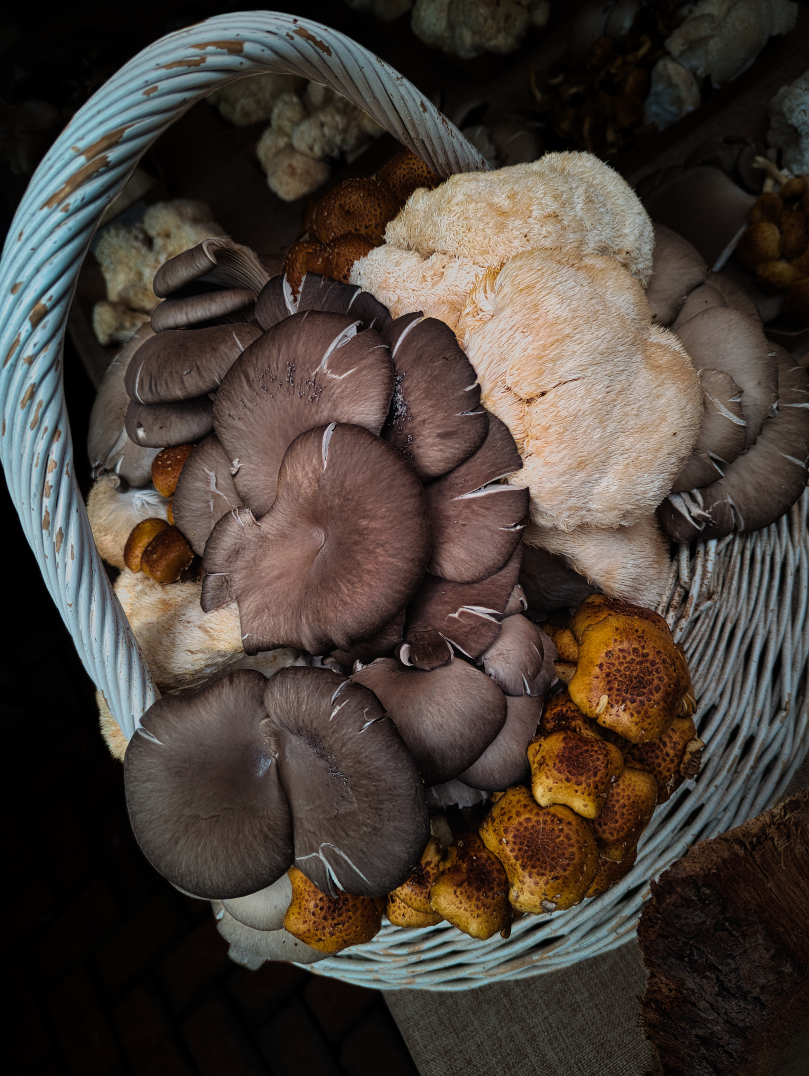 Photo of mushrooms in a basket