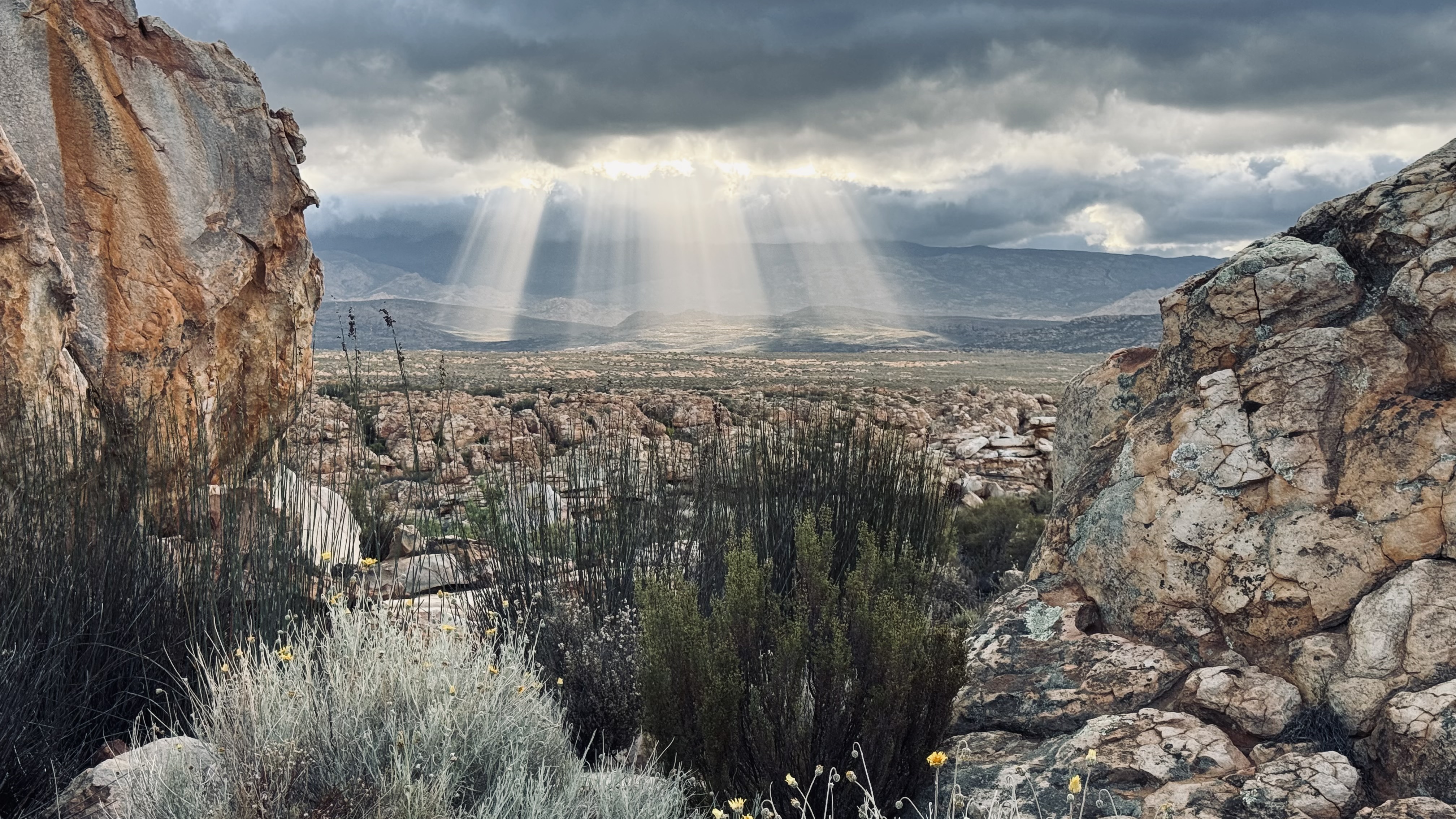 Photomicrograph the Cederberg landscape
