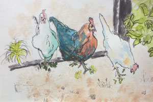 Photoshop Hens