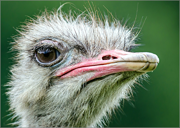 'I’ve got my eye on you' by Derek Oakley of Droitwich Spa & District U3A