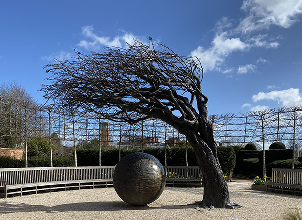 'Hawthorn Tree' by Angela Reid of Balsall Common U3A