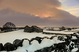 news story winter watch